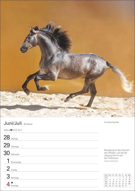 InsideView 7