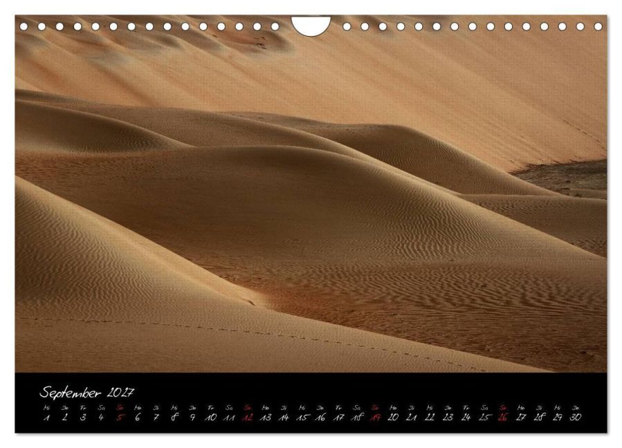InsideView 14