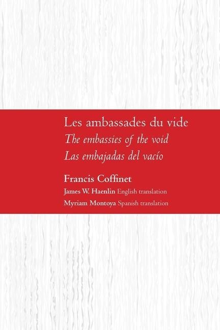 Les ambassades du vide - Francis Coffinet