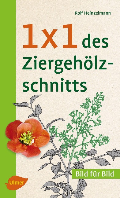 1 x 1 des Ziergehölzschnitts - Rolf Heinzelmann
