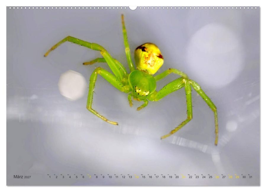 InsideView 8