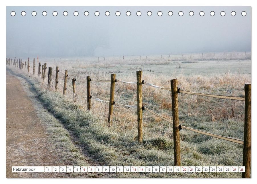 InsideView 7