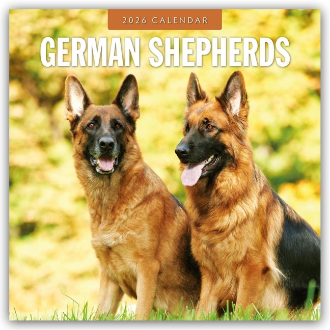 German Shepherds - Deutscher Schäferhund 2026 - 16-Monatskalender - Robin Red