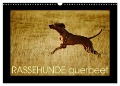RASSEHUNDE querbeet (Wandkalender 2024 DIN A3 quer), CALVENDO Monatskalender - Kathrin Köntopp