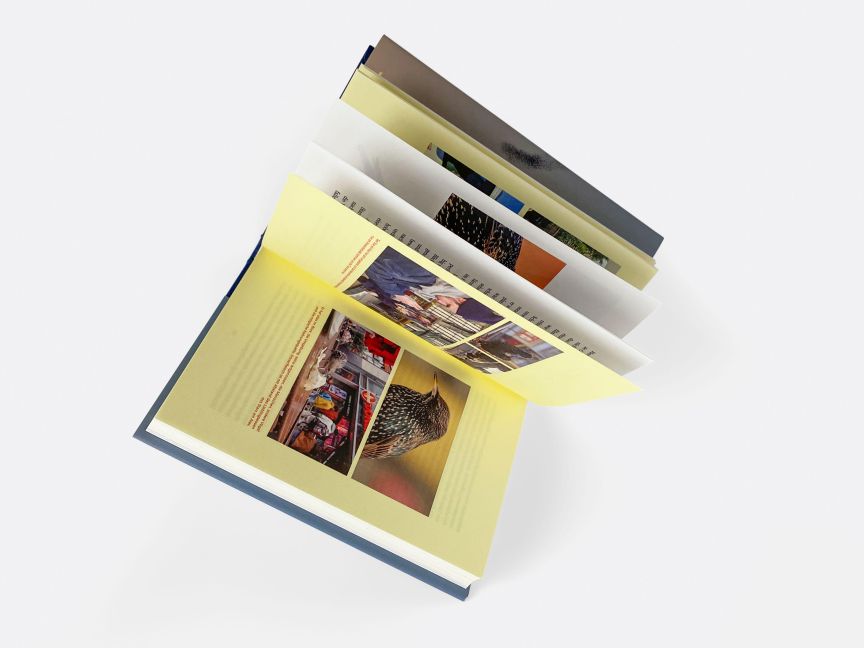 InsideView 3