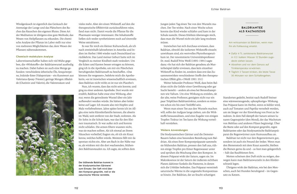 InsideView 6