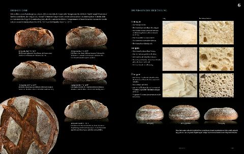 InsideView 8