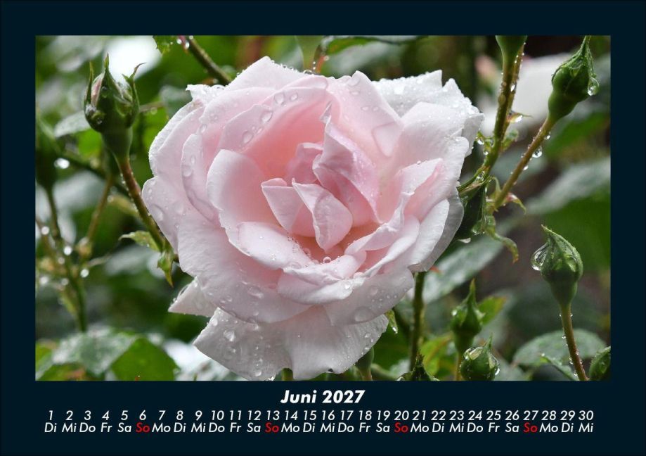 InsideView 10