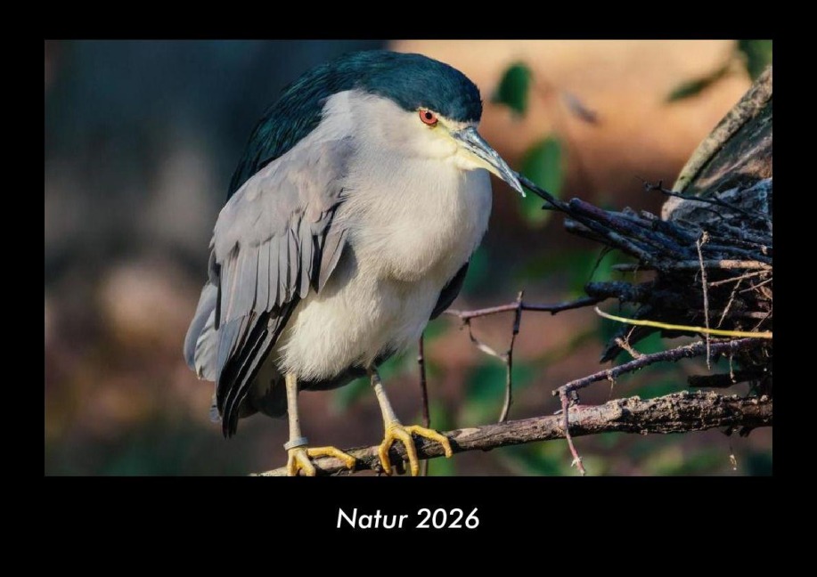 Natur 2026 Fotokalender DIN A3 - Tobias Becker