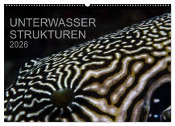 Cover-Bild zum Titel 'Unterwasser Strukuren (Wandkalender 2026 DIN A2 quer), CALVENDO Monatskalender' von 'Karsten Schulze'