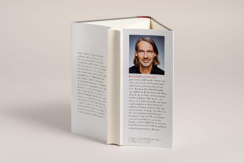 InsideView 6
