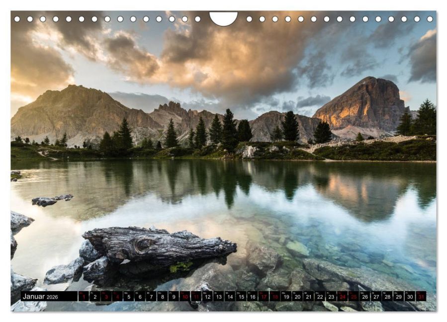 InsideView 6