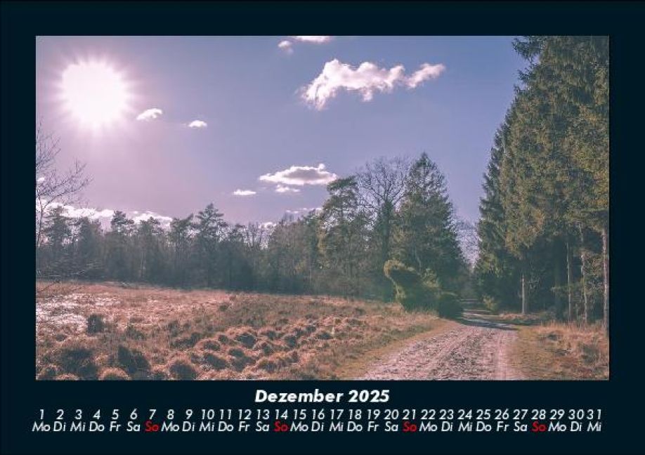 InsideView 4