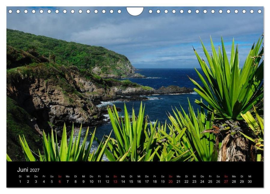 InsideView 11