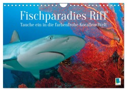 Cover-Bild zum Titel 'Fischparadies Riff (Wandkalender 2026 DIN A4 quer), CALVENDO Monatskalender' von 'Calvendo Calvendo'