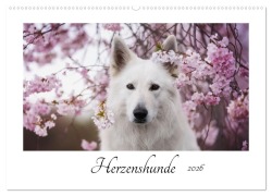 Cover-Bild zum Titel 'Herzenshunde 2026 (Wandkalender 2026 DIN A2 quer), CALVENDO Monatskalender' von 'Madlen Kudla - Photographie'