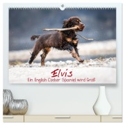 Cover-Bild zum Titel 'Elvis ein Engl. Cocker Spaniel wird Groß (hochwertiger Premium Wandkalender 2026 DIN A2 quer), Kunstdruck in Hochglanz' von 'Sabrina Wobith Photography - FotosVonMaja'