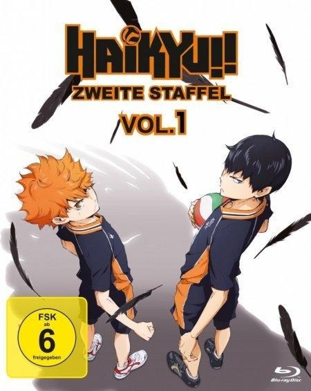 Haikyu!! - Haruichi Furudate, Taku Kishimoto, Susumu Mitsunaka, Toshimitsu Takeuchi, Takuya Satô