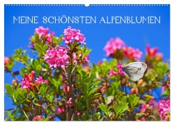 Meine schönsten Alpenblumen (Wandkalender 2026 DIN A2 quer), CALVENDO Monatskalender - Christa Kramer
