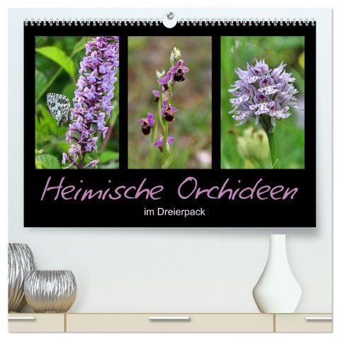 Heimische Orchideen im Dreierpack (hochwertiger Premium Wandkalender 2025 DIN A2 quer), Kunstdruck in Hochglanz - Sabine Löwer