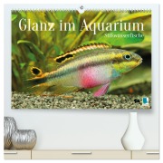 Cover-Bild zum Titel 'Glanz im Aquarium: Süßwasserfische (hochwertiger Premium Wandkalender 2026 DIN A2 quer), Kunstdruck in Hochglanz' von 'Calvendo Calvendo'