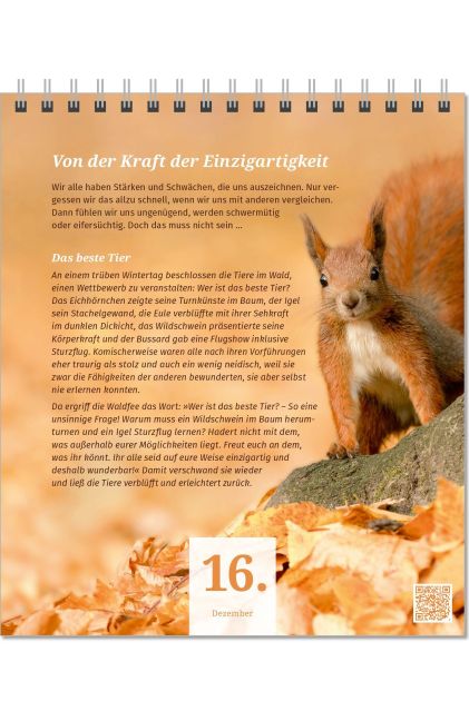 InsideView 6