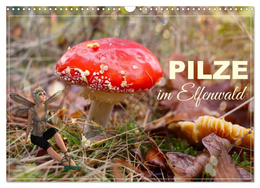 Pilze im Elfenwald (Wandkalender 2026 DIN A3 quer), CALVENDO Monatskalender - Sabine Löwer