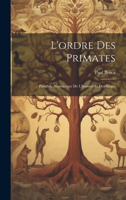 L'ordre Des Primates: Parallèle Anatomique De L'homme Et Des Singes - Paul Broca