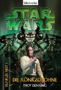 Star Wars(TM): Dunkles Nest 1 - Troy Denning