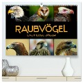 Raubvögel - lautlose Jäger (hochwertiger Premium Wandkalender 2024 DIN A2 quer), Kunstdruck in Hochglanz - Renate Bleicher