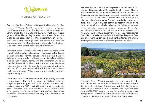 InsideView 8