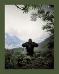 Cover-Bild zum Titel 'Zoology. Benvenuti nel regno animale' von 'Stefano Vigni, Chiara Narcisi'