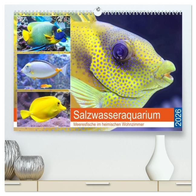 Salzwasseraquarium. Meeresfische im heimischen Wohnzimmer (hochwertiger Premium Wandkalender 2026 DIN A2 quer), Kunstdruck in Hochglanz - Rose Hurley
