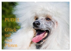 Cover-Bild zum Titel 'Pudel - Glück auf vier Pfoten (Wandkalender 2026 DIN A2 quer), CALVENDO Monatskalender' von 'Sigrid Starick'