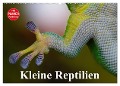 Kleine Reptilien (Wandkalender 2024 DIN A2 quer), CALVENDO Monatskalender - Elisabeth Stanzer