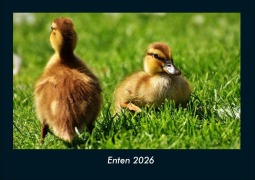Cover-Bild zum Titel 'Enten 2026 Fotokalender DIN A4' von 'Tobias Becker'