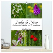 Cover-Bild zum Titel 'Zauber der Natur - Heimische Orchideen und Wiesenblumen (hochwertiger Premium Wandkalender 2026 DIN A2 hoch), Kunstdruck in Hochglanz' von 'Ursula Di Chito'
