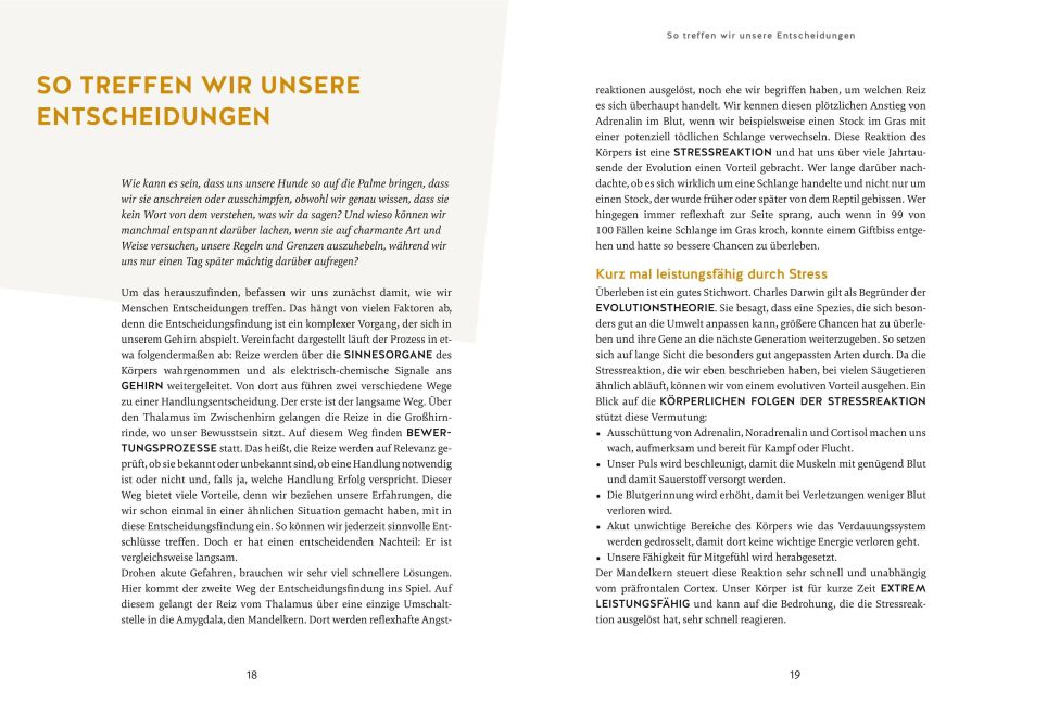 InsideView 4