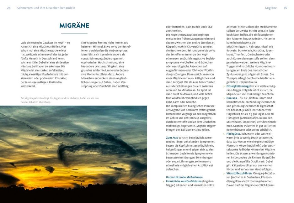 InsideView 1