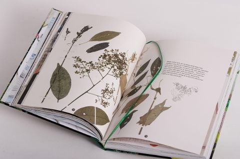 InsideView 12