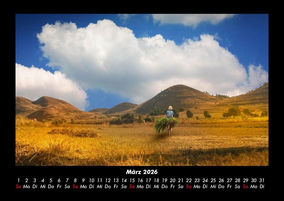 InsideView 7
