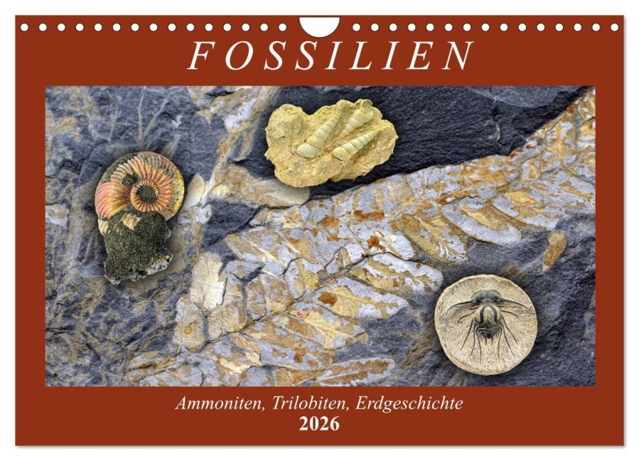 Fossilien - Ammoniten, Trilobiten, Erdgeschichte (Wandkalender 2026 DIN A4 quer), CALVENDO Monatskalender - Anja Frost