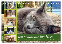 Cover-Bild zum Titel 'Ich schau dir ins Herz (Tischkalender 2026 DIN A5 quer), CALVENDO Monatskalender' von 'Michaela Schimmack'