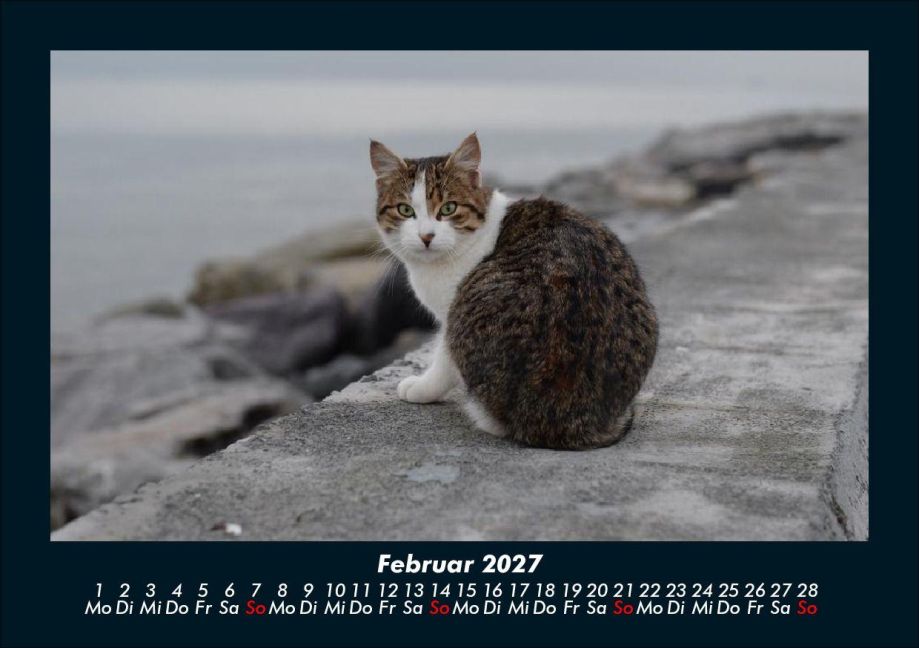 InsideView 6