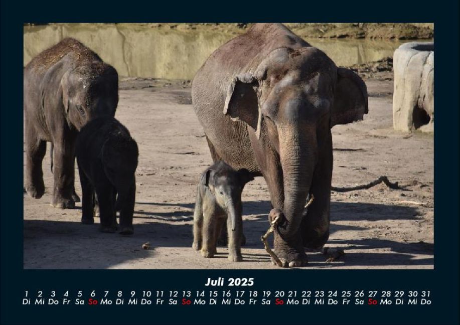 InsideView 11