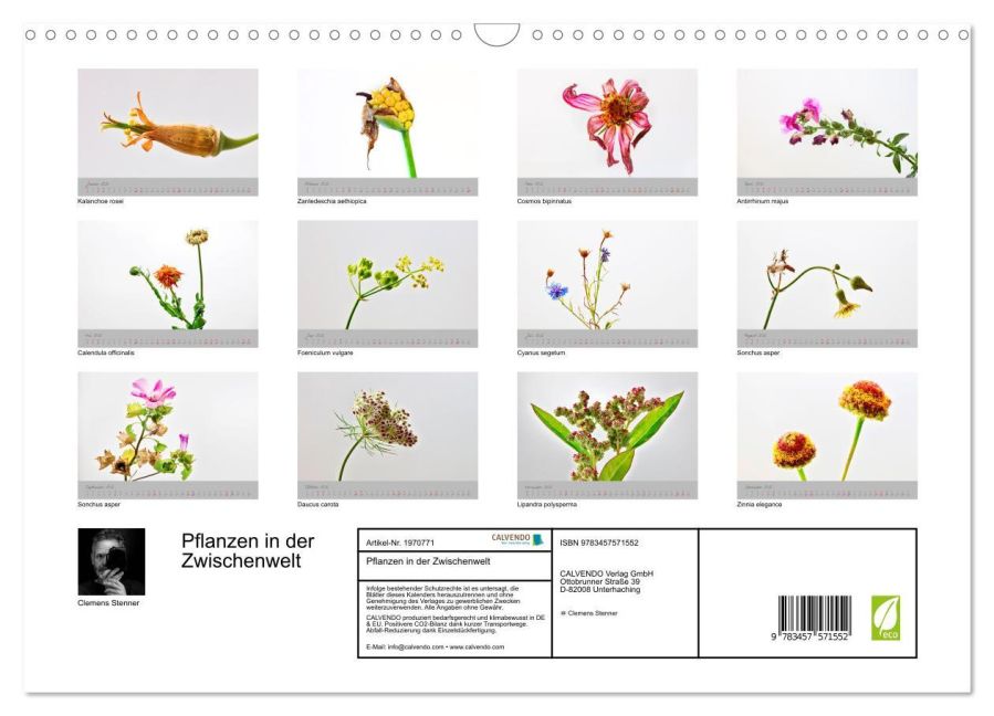 InsideView 5
