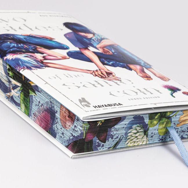 InsideView 2