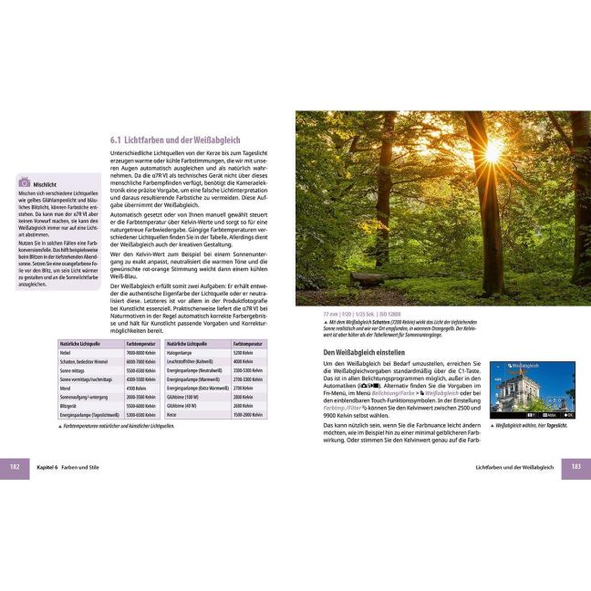InsideView 8