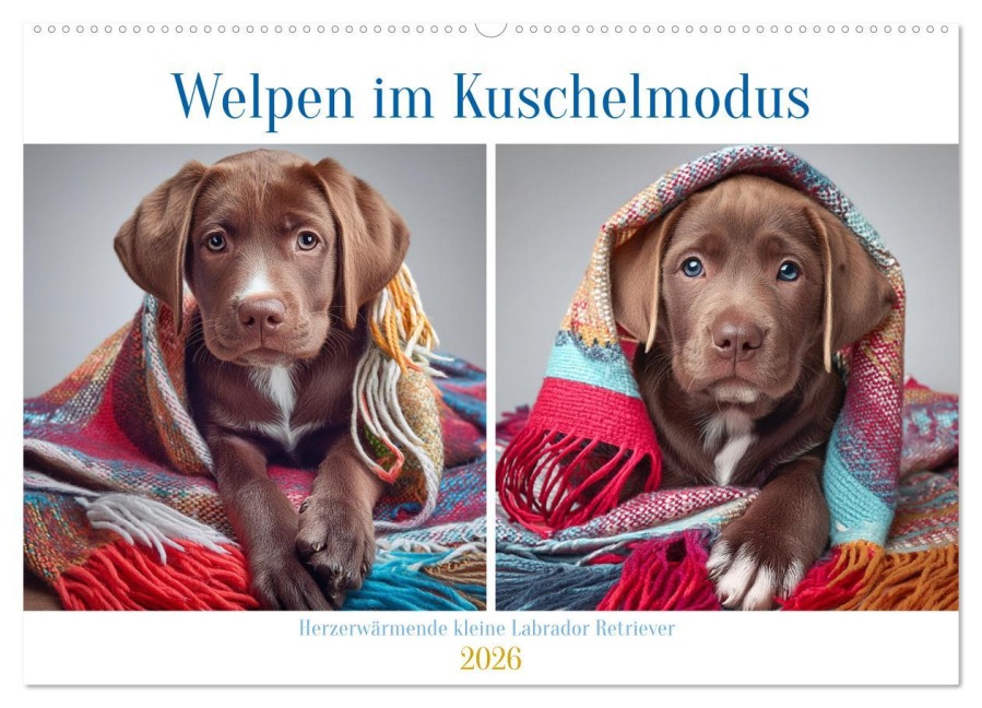 Welpen im Kuschelmodus - Herzerwärmende kleine Labrador Retriever (Wandkalender 2026 DIN A2 quer), CALVENDO Monatskalender - Fotodesign Verena Scholze