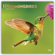 Cover-Bild zum Titel 'Hummingbirds - Kolibris 2027 - 16-Monatskalender' von 'Browntrout Publishers'
